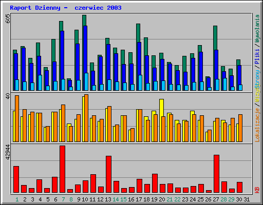 Raport Dzienny -  czerwiec 2003