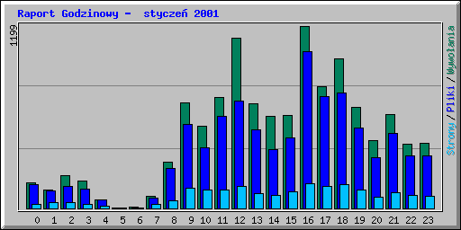 Raport Godzinowy -  stycze 2001