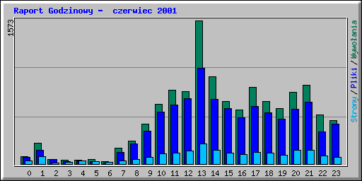 Raport Godzinowy -  czerwiec 2001