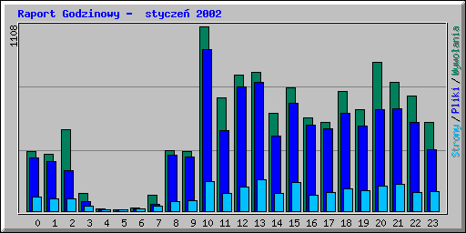 Raport Godzinowy -  stycze 2002