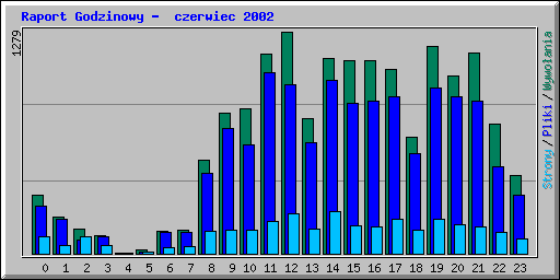Raport Godzinowy -  czerwiec 2002