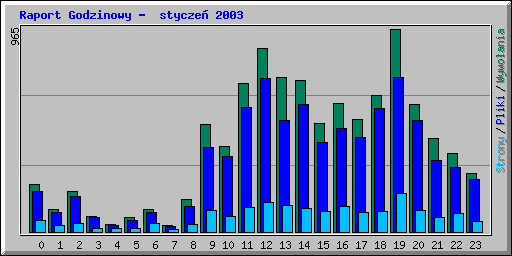 Raport Godzinowy -  stycze 2003