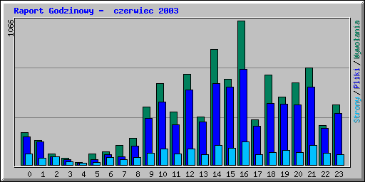 Raport Godzinowy -  czerwiec 2003