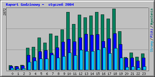 Raport Godzinowy -  stycze 2004