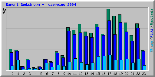 Raport Godzinowy -  czerwiec 2004