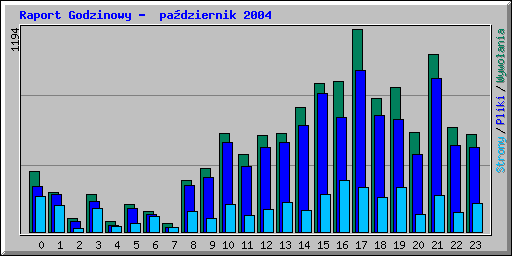 Raport Godzinowy -  padziernik 2004