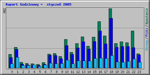 Raport Godzinowy -  stycze 2005