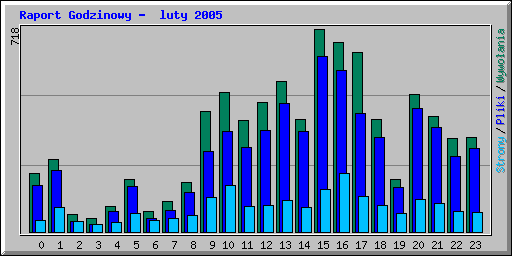 Raport Godzinowy -  luty 2005
