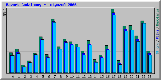 Raport Godzinowy -  stycze 2006